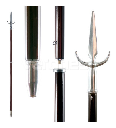 Asta Ceremonia Prim/sec.