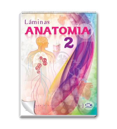 Rotafolio Anatomia 2 50x70 Cm.