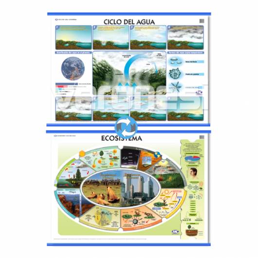 Lam.ecosistema/ciclo Del Agua Con Varilla 72x102 Cm.