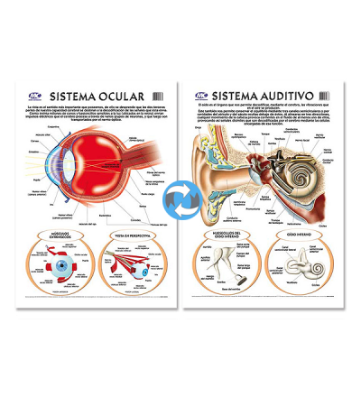 Lam.sist.ocular/auditivo Con Varilla 50x70 Cm.