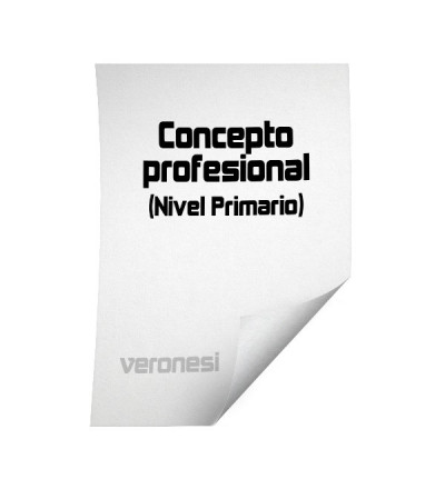 Planilla Concepto Profesional Primaria