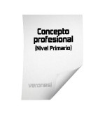 Planilla Concepto Profesional Primaria
