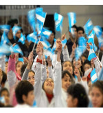 Bandera Plastica Arg. X 12 15x25 Cm.