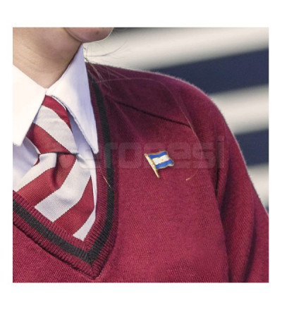 Pin Bandera Flameando Nº 1
