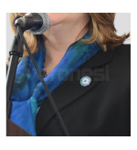 Pin Escarapela Nº 4