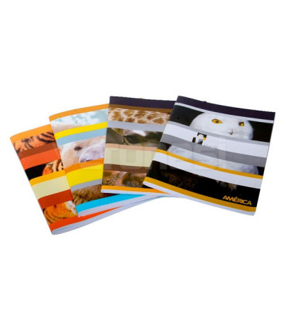 Cuad.ray.t/flexible X 24 16x21 Cm.