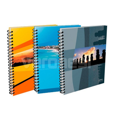 Cuad.ray.t/flexible C/espiral X 84 A4