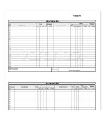 Libro Matriz 7 Años