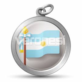 Medalla Resinada Bandera Argentina 32 Mm