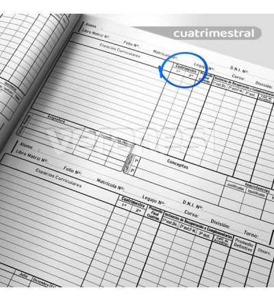 Registro Anual Cuat. S/ Materias