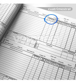 Registro Anual Cuat. S/ Materias