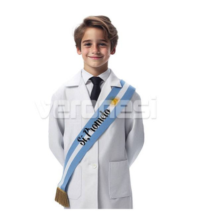 Banda Promesa A La Bandera Impresa