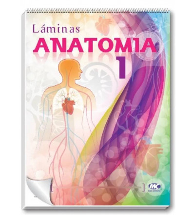 Rotafolio Anatomia 1 50x70 Cm.