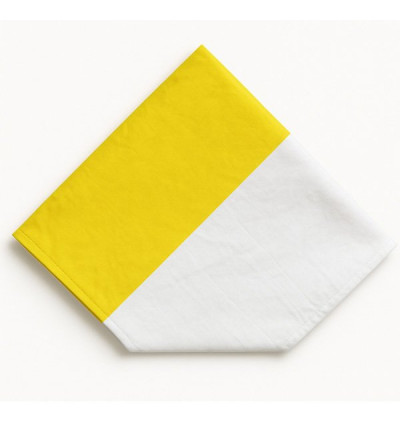 Bandera Ceremonia Papal Jardin