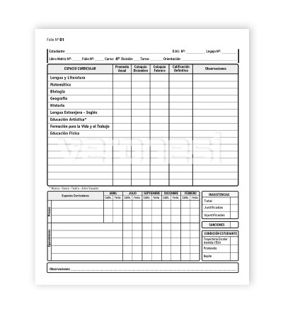 Registro Anual CO 4° año Nuevo Régimen