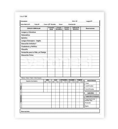 Registro Anual CO 6° año Nuevo Régimen