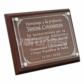 Placa Acrilico C/base Madera 35x45 Cm.