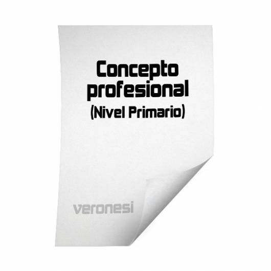 Planilla Concepto Profesional Primaria