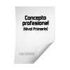 Planilla Concepto Profesional Primaria