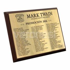 Placa Bicapa C/base Madera 25x35 Cm.