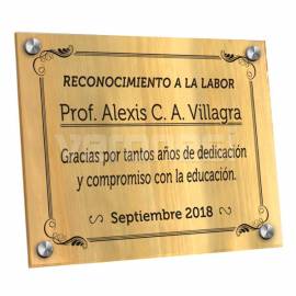 Placa Bicapa 20x30 Cm.