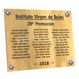 Placa Bicapa 30x40 Cm.