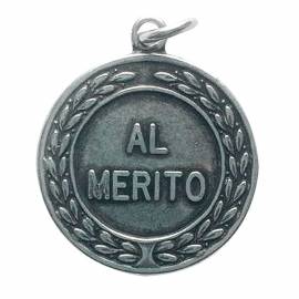 Medalla P.V. Al Merito