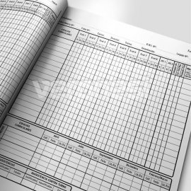 Registro Anual NUEVO REGIMEN ACADEMICO