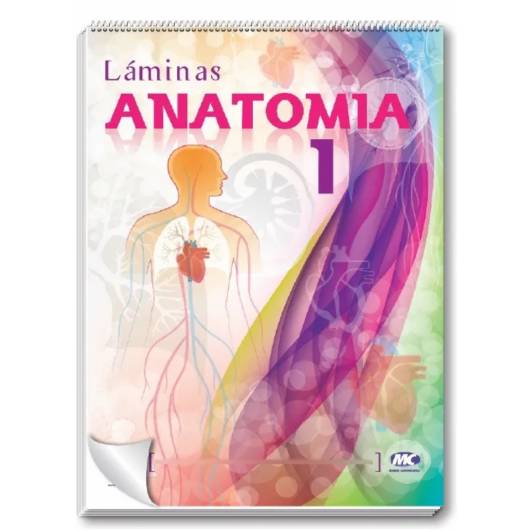 Rotafolio Anatomia 1 50x70 Cm.