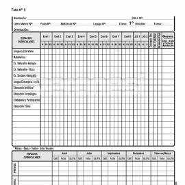 Registro Anual CB 1er. Año
