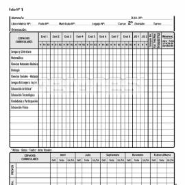 Registro Anual Etapa CB 2do. Año