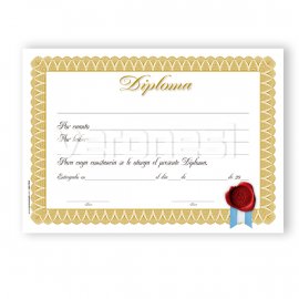 Diploma Terminacion Estudio