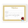 Diploma Terminacion Estudio Diploma Terminacion Estudio